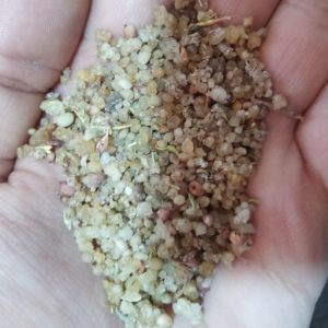 Nutritive Values of persian Manna