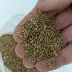 خرید ترنجبین اقتصادی