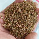 خرید ترنجبین در اصفهان